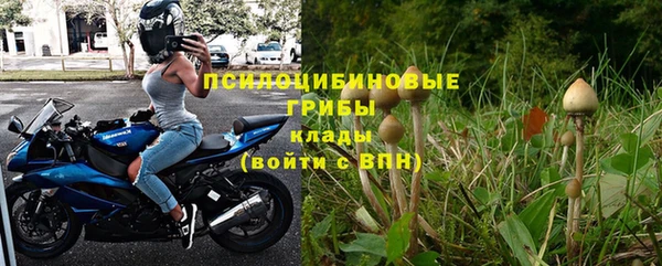 тгк Алзамай