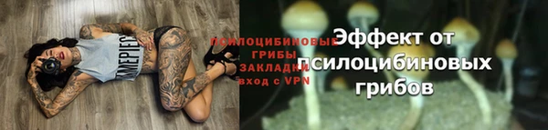 скорость Абаза