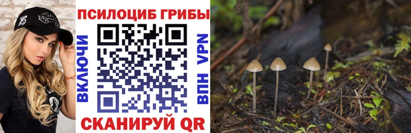 цены наркотик  Елизаветинская  Галлюциногенные грибы GOLDEN TEACHER 
